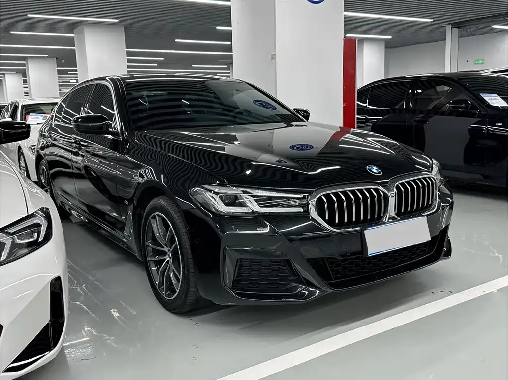 BMW 5 Series 2021 из CN, фото 7