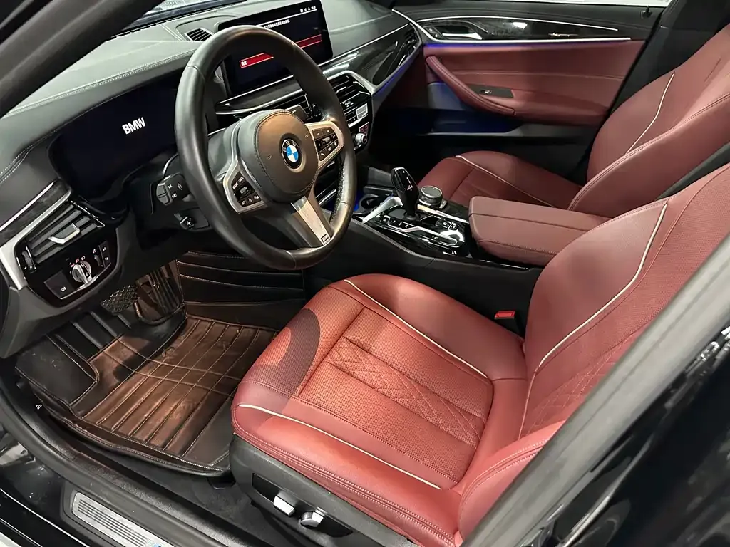 BMW 5 Series 2021 из CN, фото 8