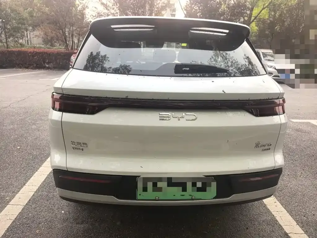 BYD Pro New Energy — фото 7