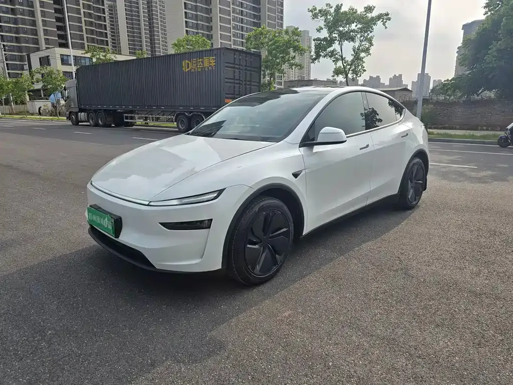 Tesla Model Y — фото 1