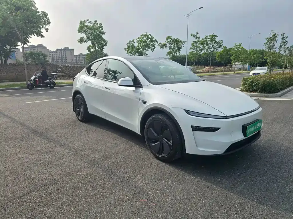 Tesla Model Y — фото 5