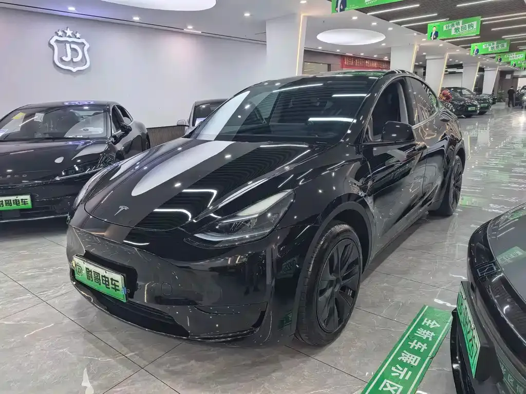 Tesla Model Y — фото 1