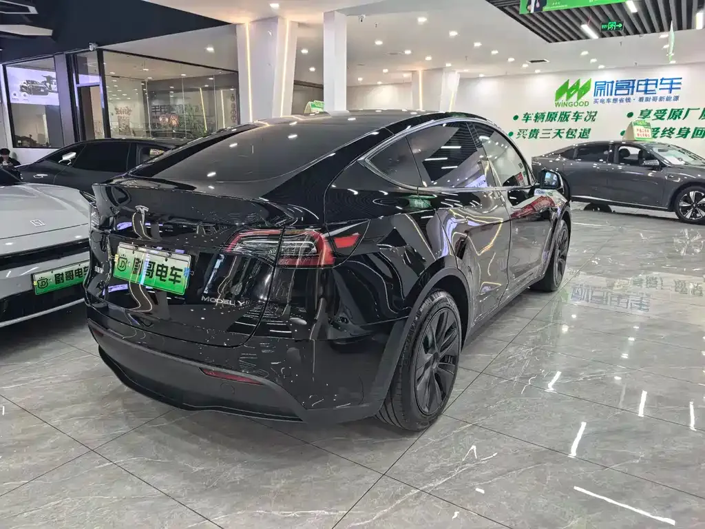 Tesla Model Y — фото 5