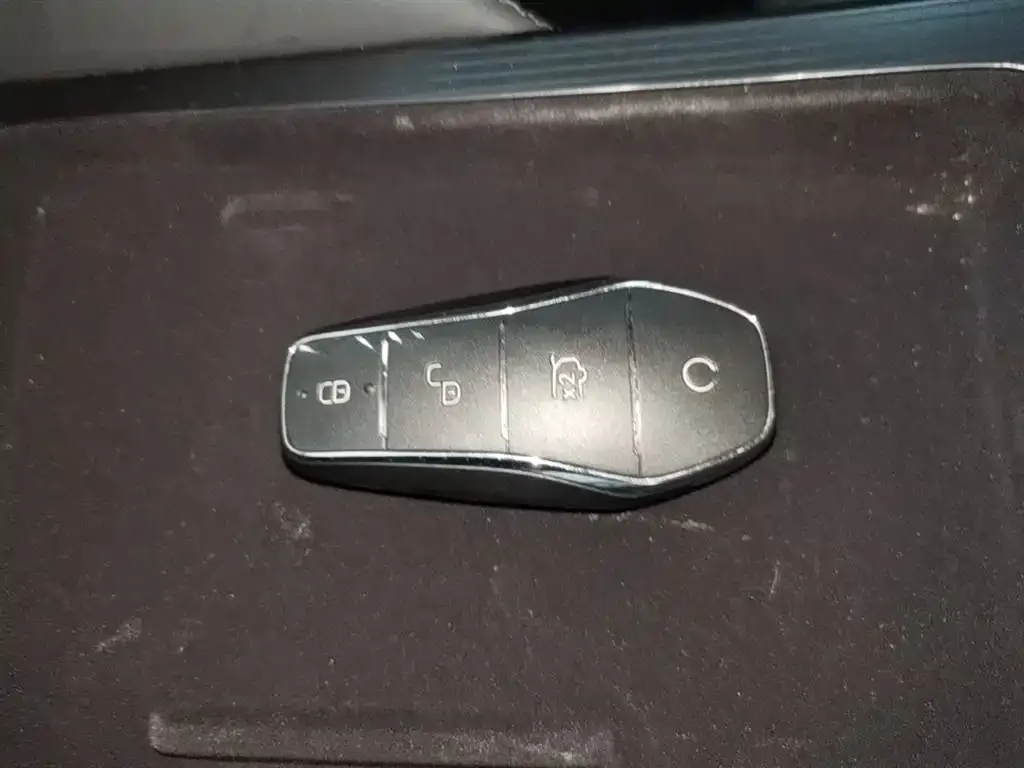 BYD L DM-i — фото 2