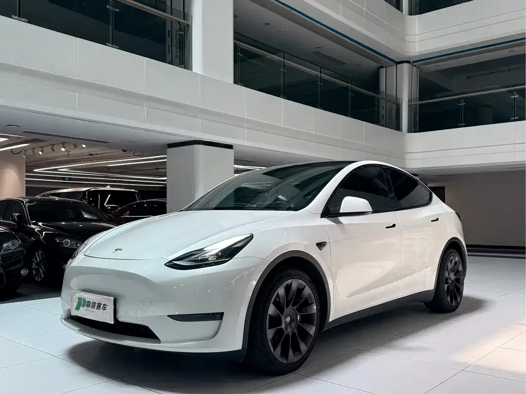 Tesla Model Y — фото 1