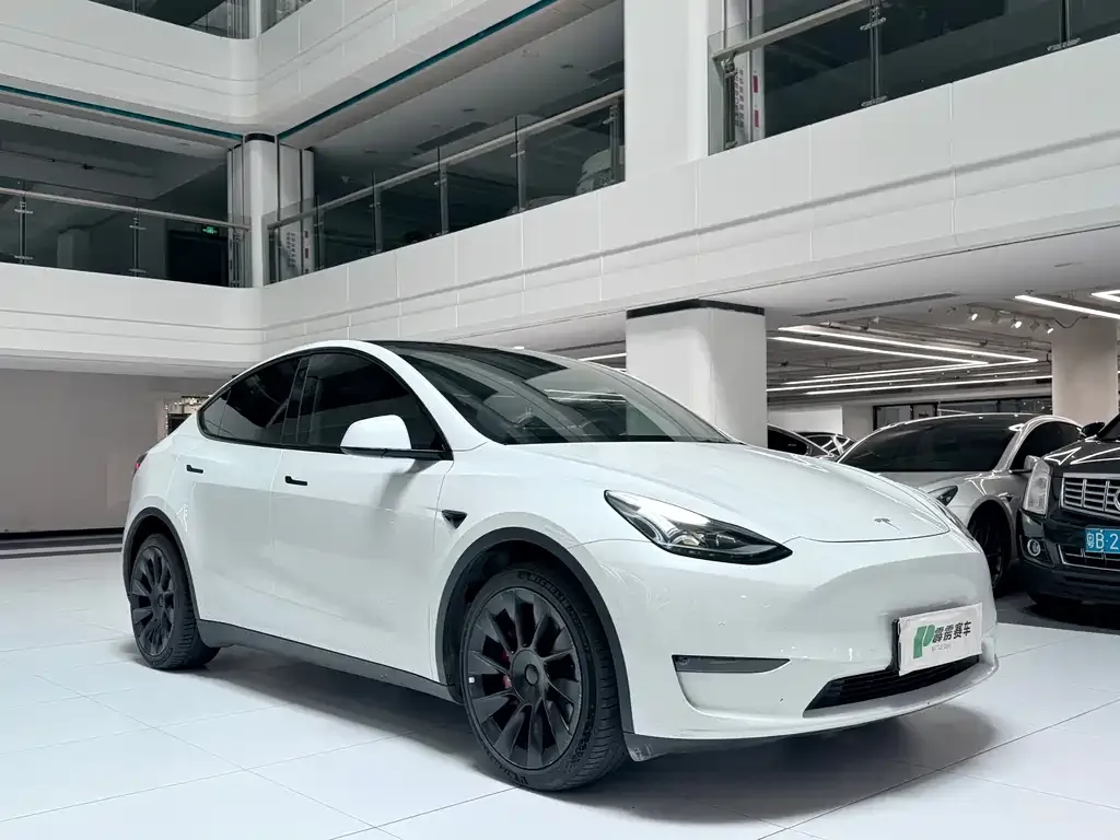 Tesla Model Y — фото 3