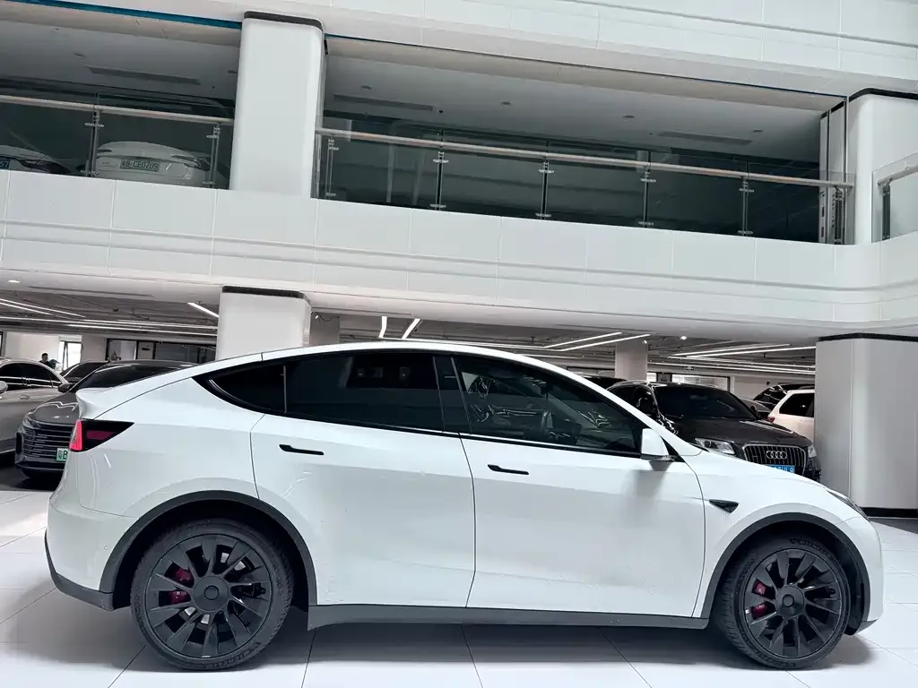 Tesla Model Y — фото 9