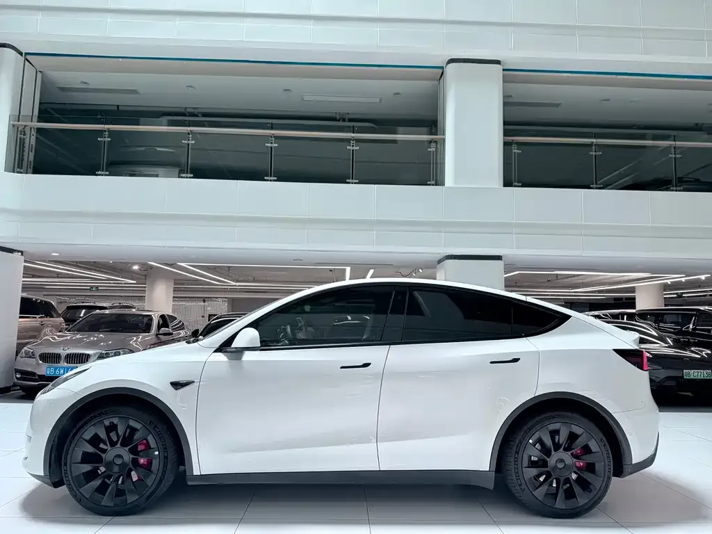 Tesla Model Y — фото 2
