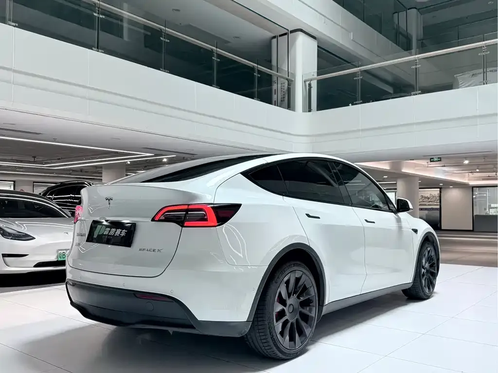 Tesla Model Y — фото 10