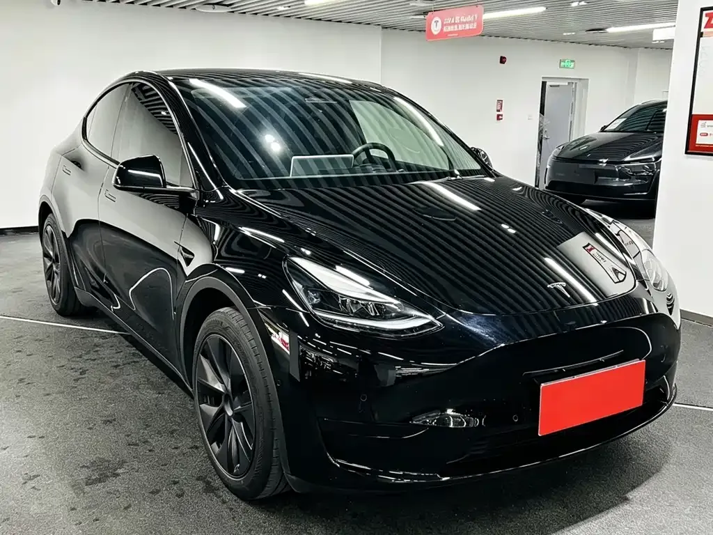 Tesla Model Y — фото 9