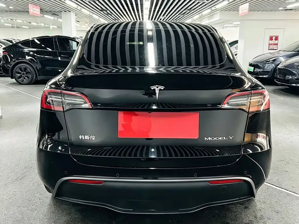 Tesla Model Y — фото 3