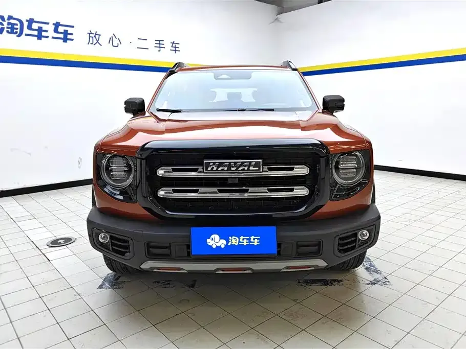 Haval Big Dog — фото 8