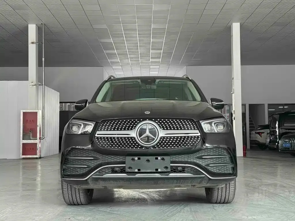 Mercedes-Benz 奔驰GLE(进口) — фото 8