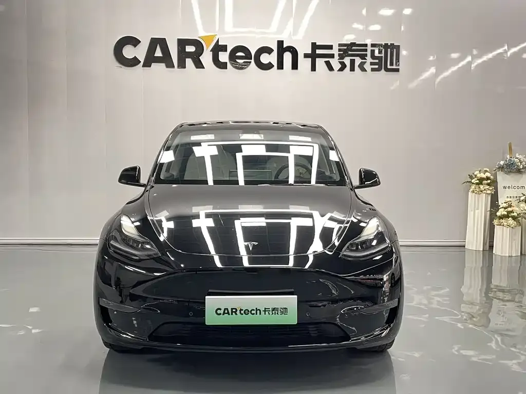 Tesla Model Y — фото 10