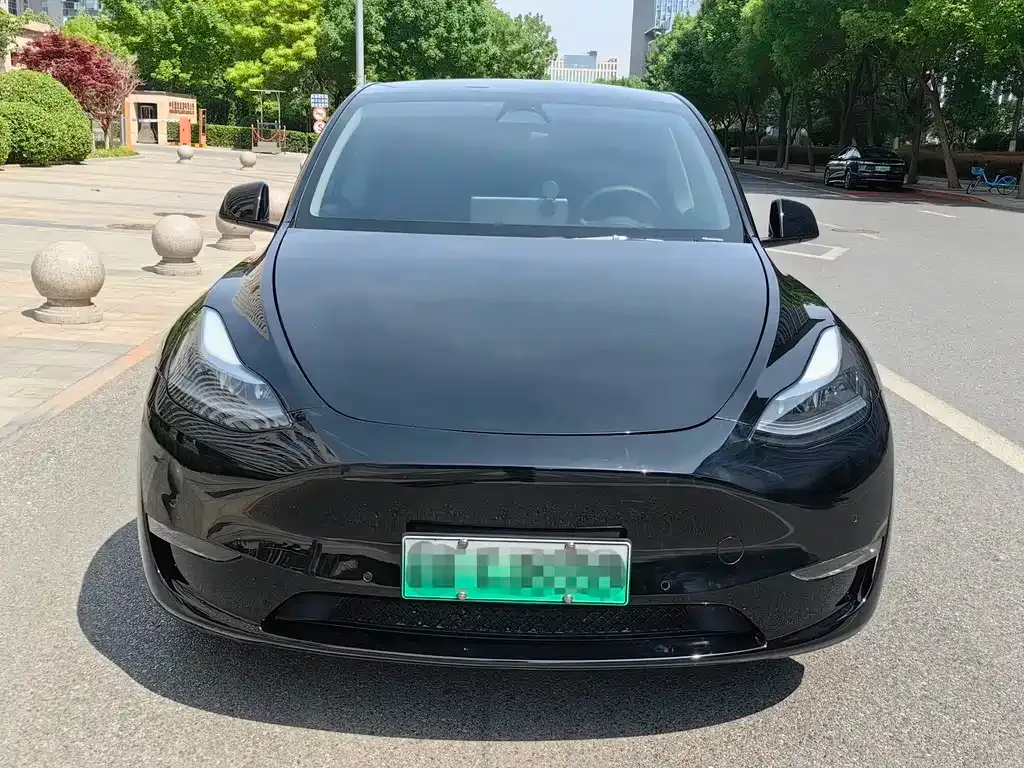 Tesla Model Y — фото 10