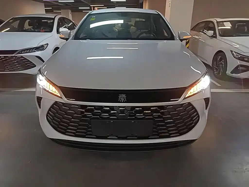 BYD Qin PLUS — фото 3