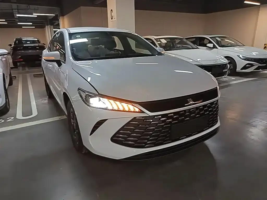 BYD Qin PLUS — фото 10