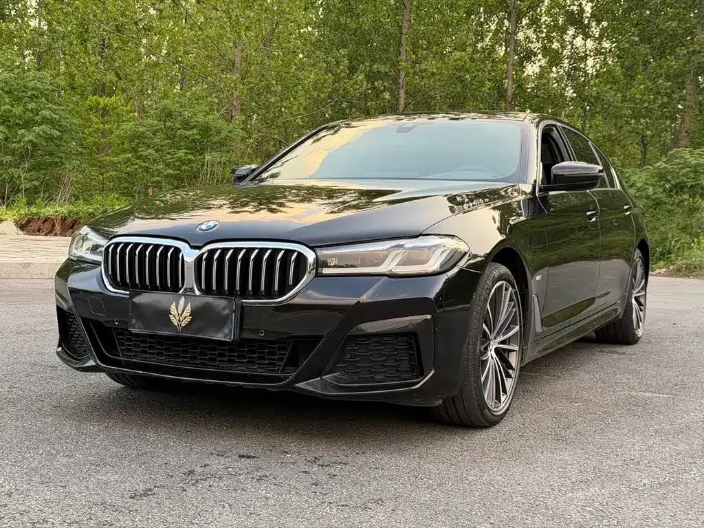 BMW 5 Series — фото 1
