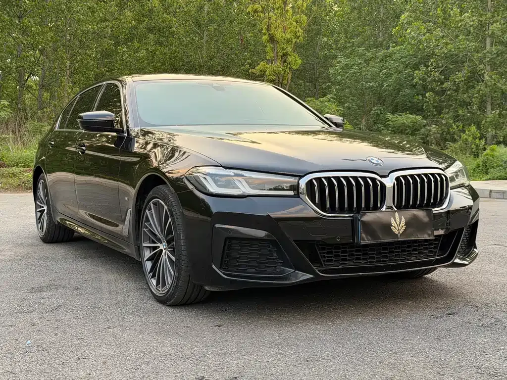 BMW 5 Series — фото 9