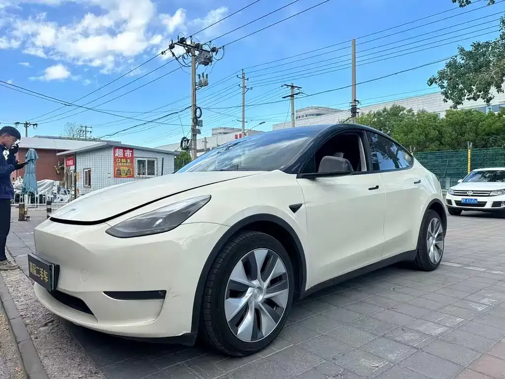 Tesla Model Y — фото 1