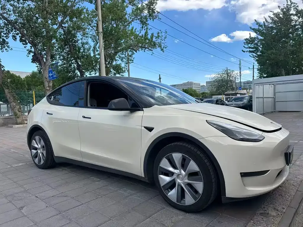 Tesla Model Y — фото 8