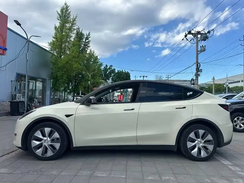 Tesla Model Y — фото 9