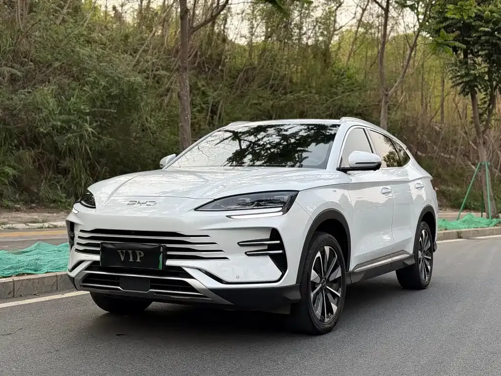 BYD PLUS New Energy — фото 1
