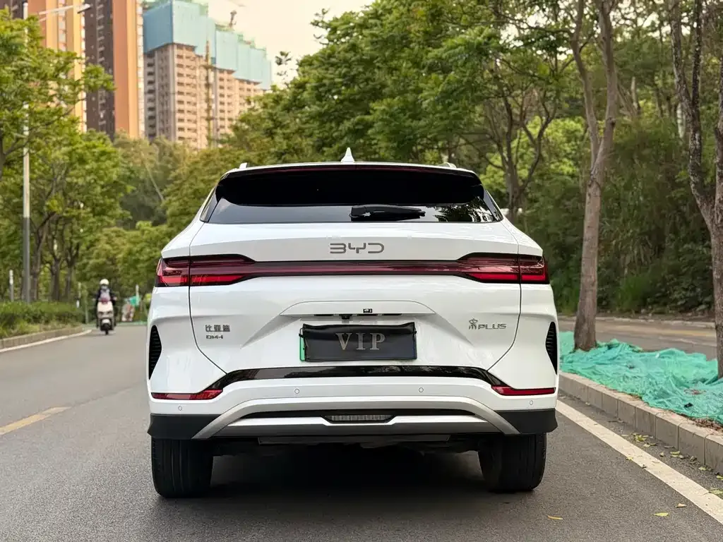 BYD PLUS New Energy — фото 8