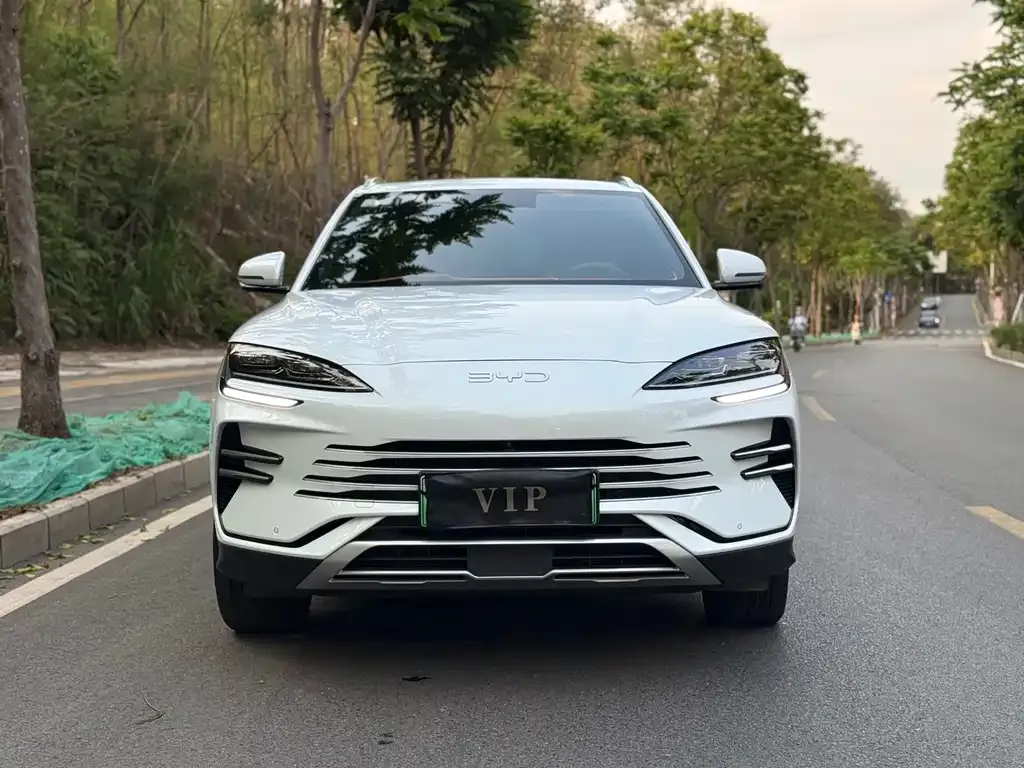 BYD PLUS New Energy — фото 3