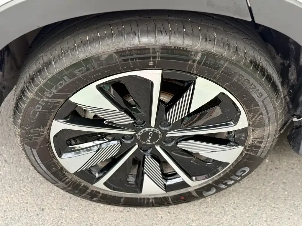 BYD PLUS New Energy — фото 10