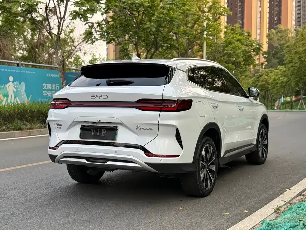 BYD PLUS New Energy — фото 9