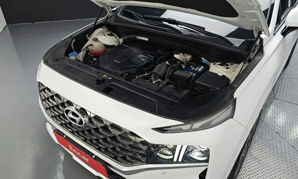 Hyundai Santafe 2021 из KR, фото 8