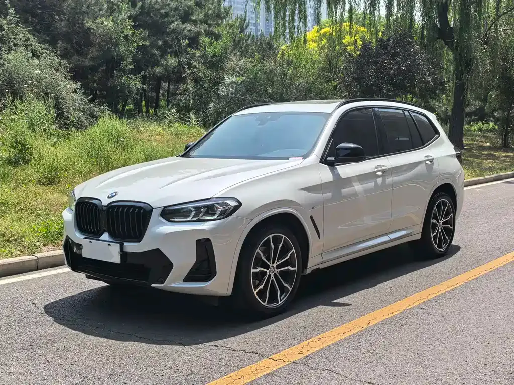 BMW X3 — фото 1