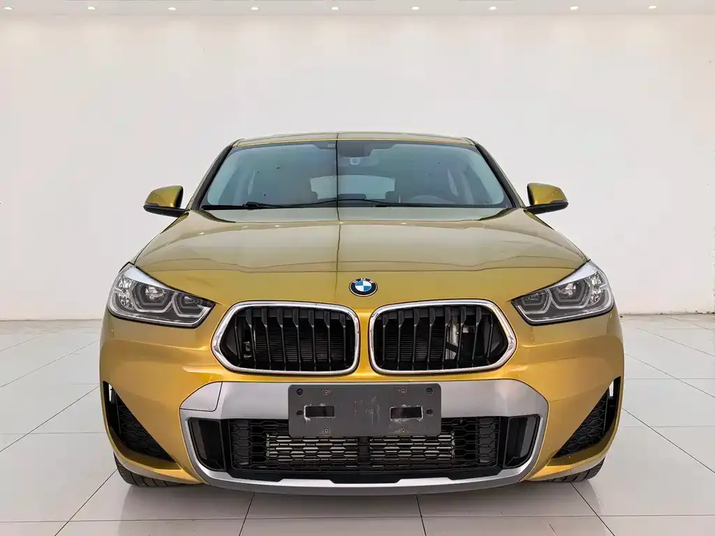 BMW X2 2022 из CN, фото 6