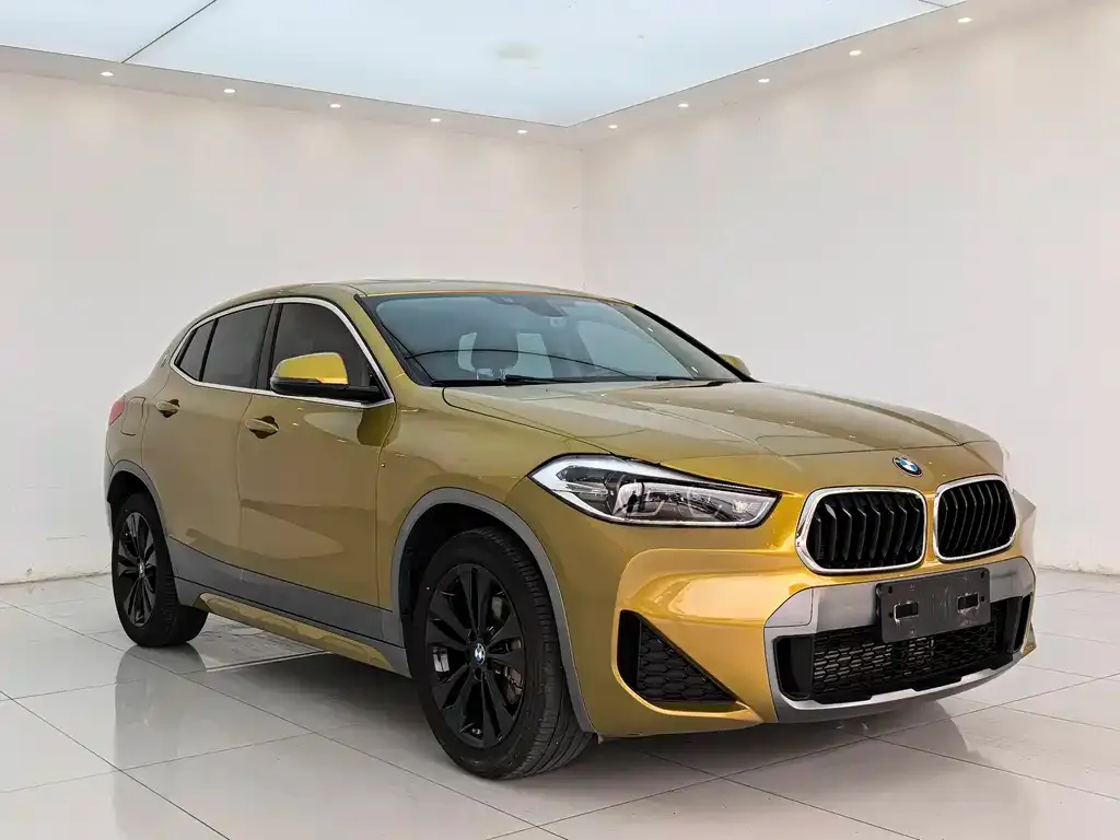 BMW X2 2022 из CN, фото 5