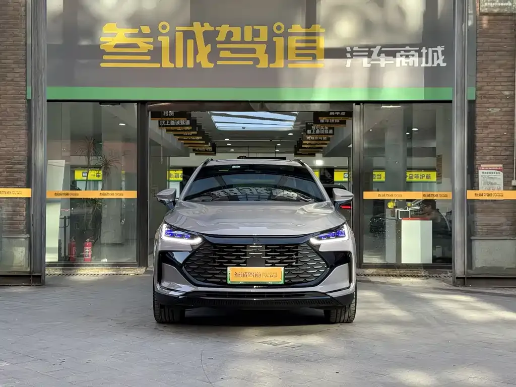 BYD Tang New Energy — фото 9