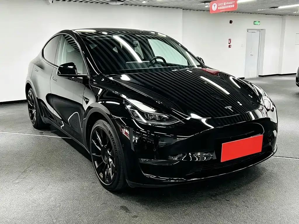 Tesla Model Y — фото 9