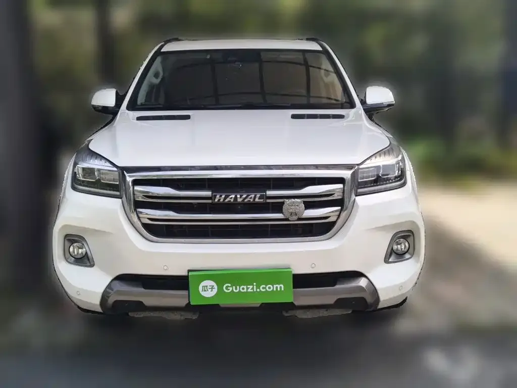 Haval H9 2021 из CN, фото 2