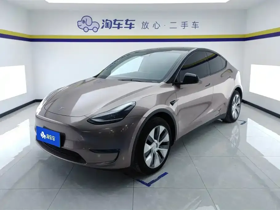 Tesla Model Y — фото 1