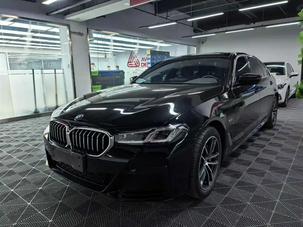 BMW 5 Series New Energy — фото 1
