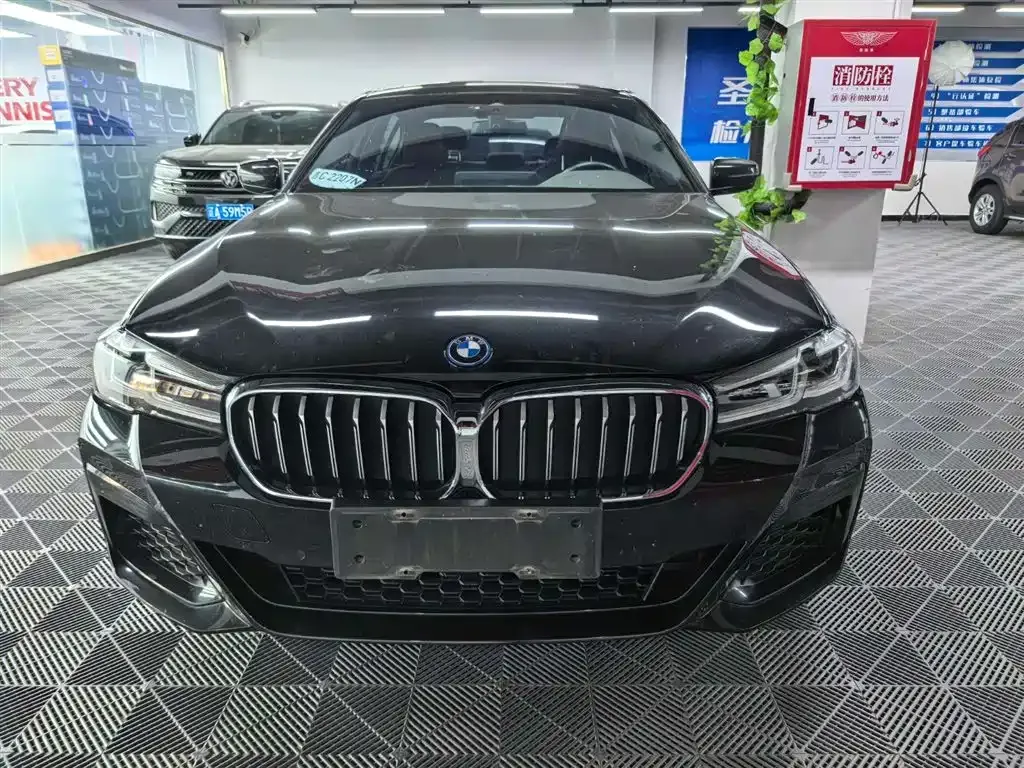 BMW 5 Series New Energy — фото 9