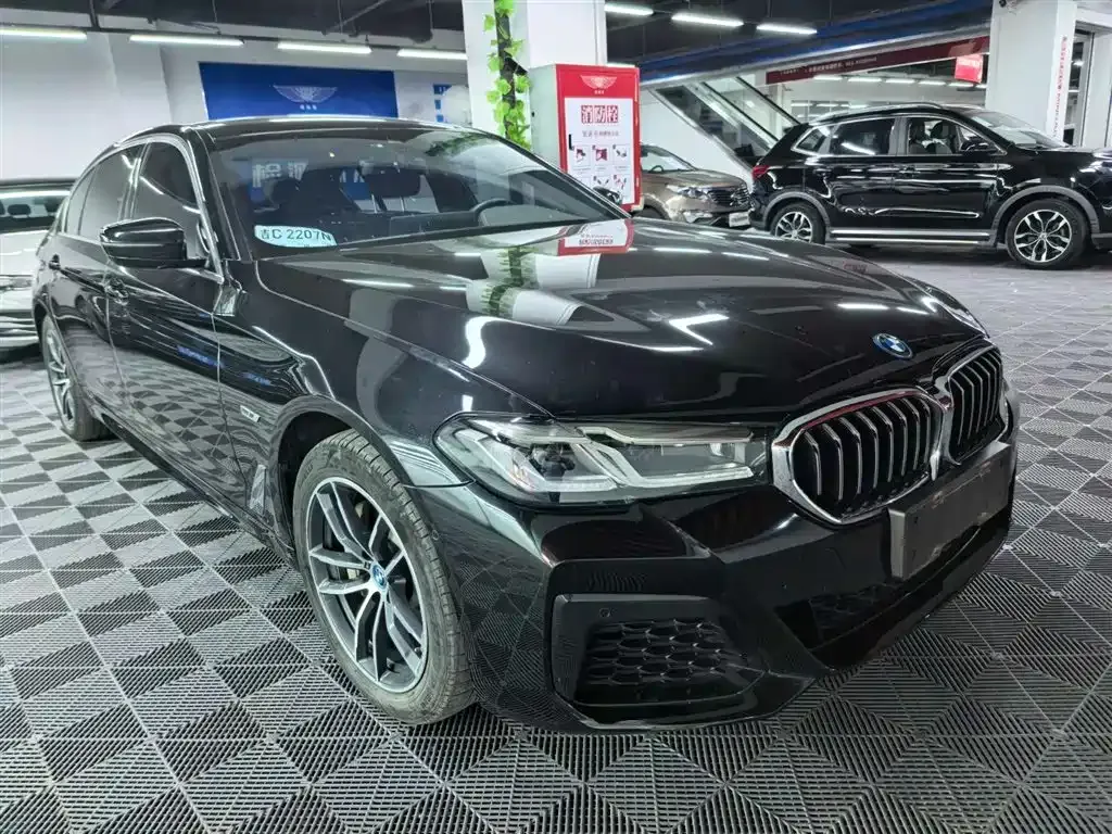 BMW 5 Series New Energy — фото 10