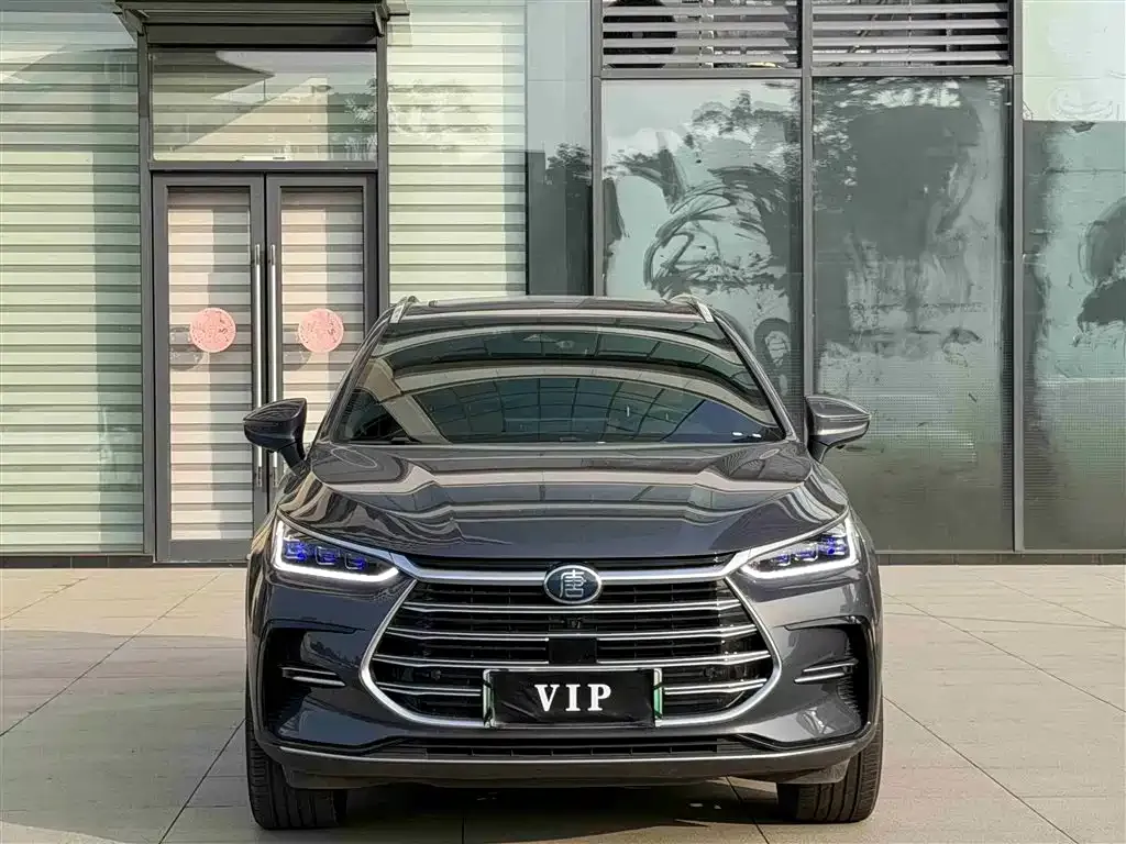 BYD Tang New Energy 2023 из CN, фото 4