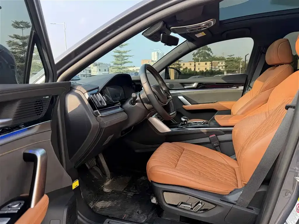 BYD Tang New Energy 2023 из CN, фото 9