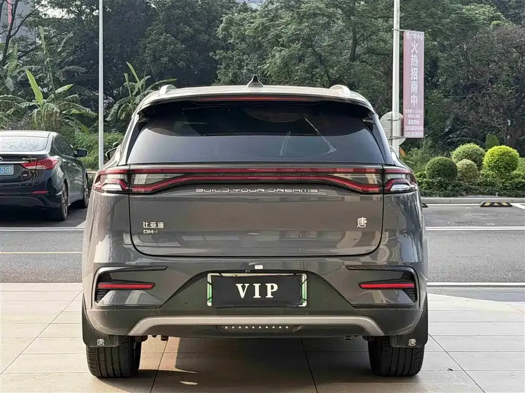 BYD Tang New Energy 2023 из CN, фото 10