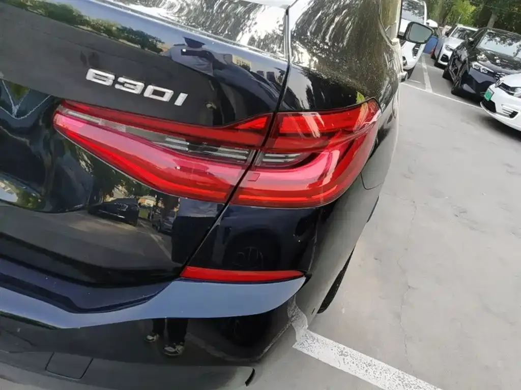 BMW 6 Series GT 2024 из CN, фото 9