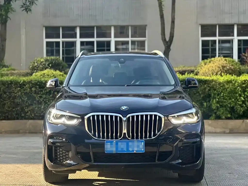 BMW X5 (Import) 2021 из CN, фото 2