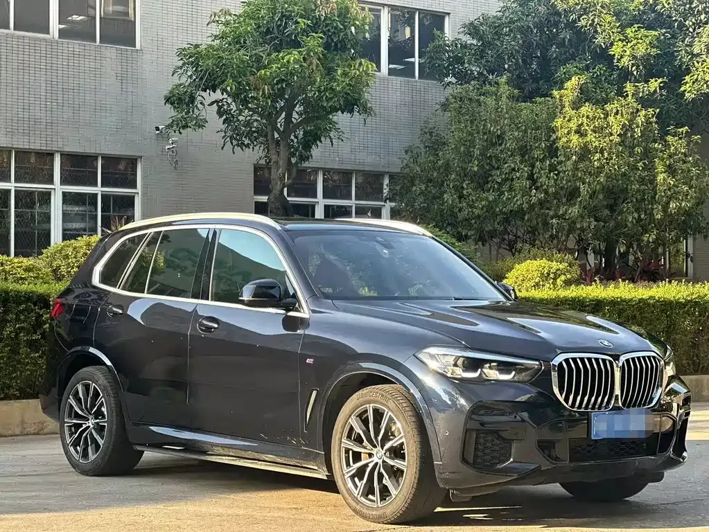 BMW X5 (Import) 2021 из CN, фото 8