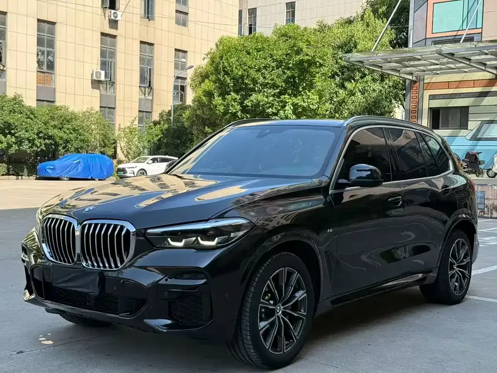 BMW X5 (Import) — фото 1
