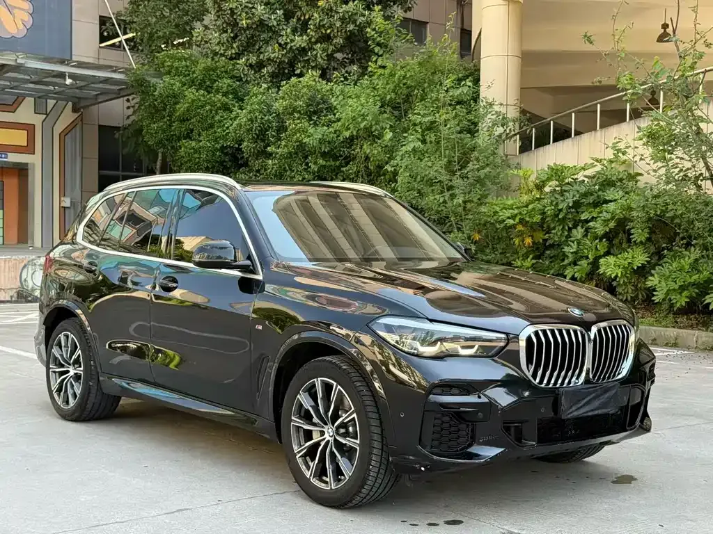 BMW X5 (Import) — фото 10